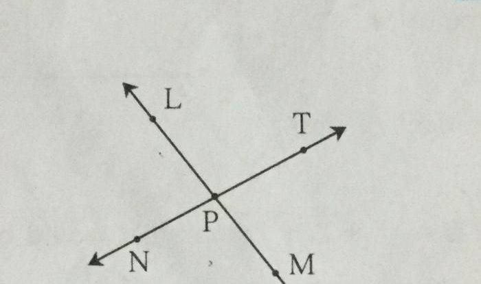 Rays opposite ob oa 2b if degree then given figure values