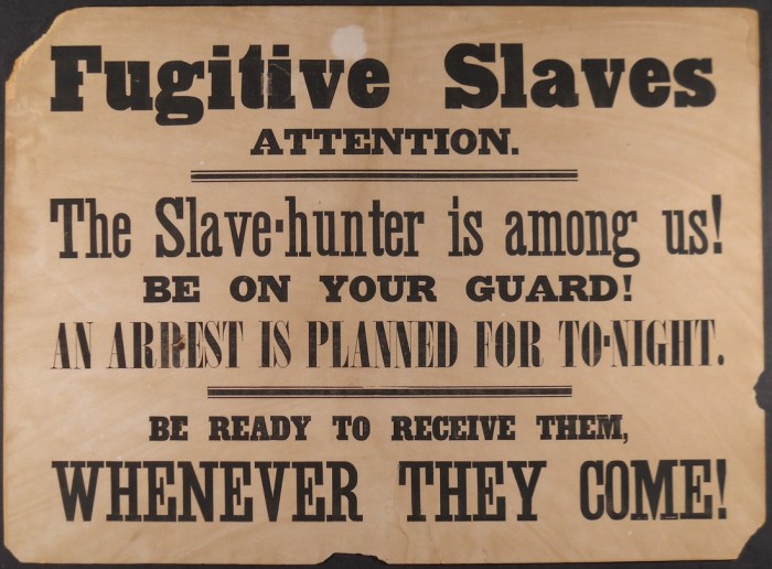 Fugitive slave law apush definition