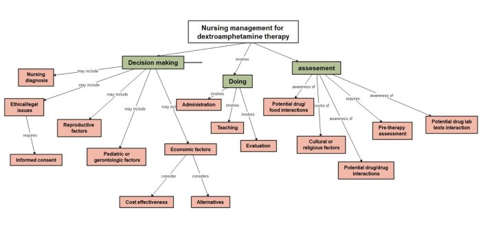 Nervous system concept map answers