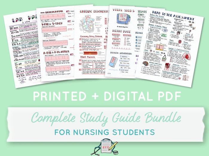 Simple nursing study guides pdf free