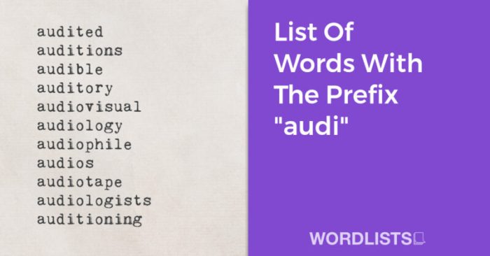 Words with the prefix audi
